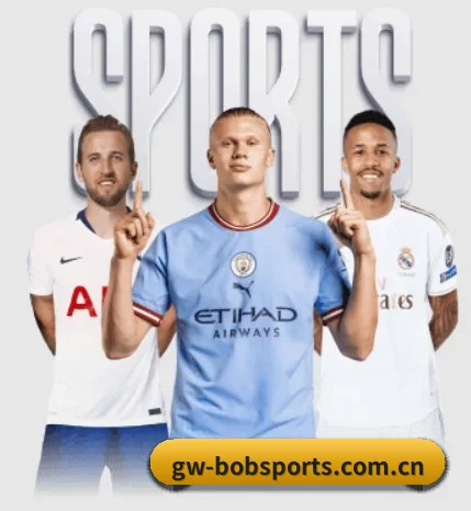 bob体育官网 APP | BOBSPORTS